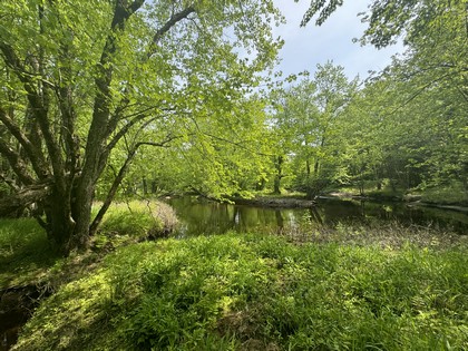Riverfront land for sale in NY