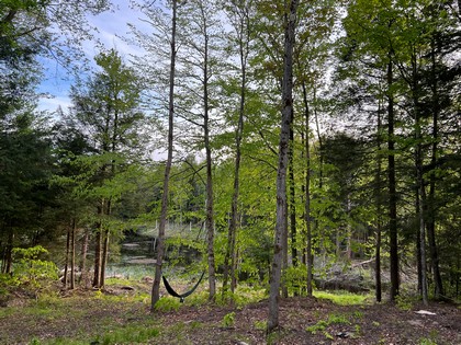 NY camp for sale in Camden NY