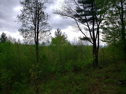 Land and camp for sale Lewis County NY