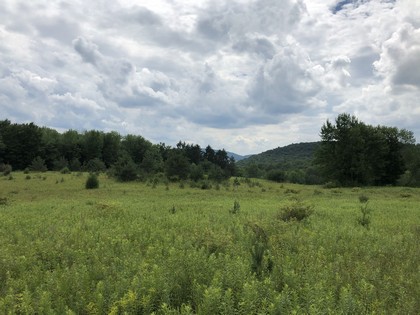 Southern tier land for sale in Harford NY