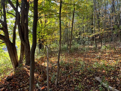 Southern Tier NY land for sale 