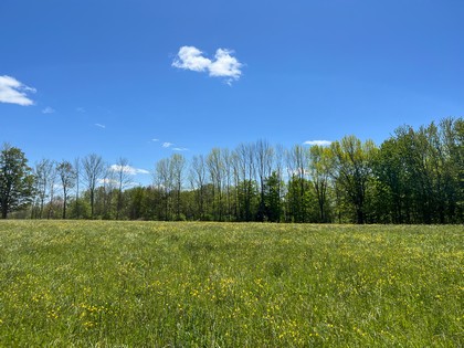 Meadows and woodlands - beautiful building lot in Florence NY near Mad River State Forest.