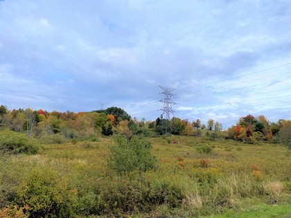 Catskills NY land for sale