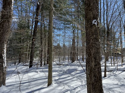 NY land for sale