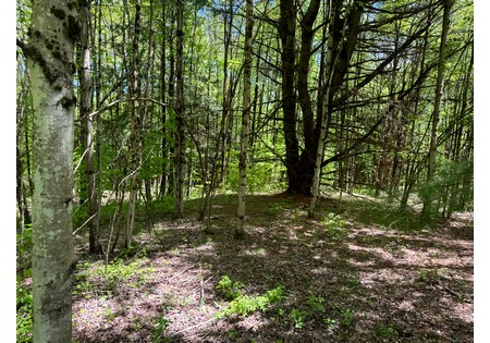 Oneida Lake NY area land for sale