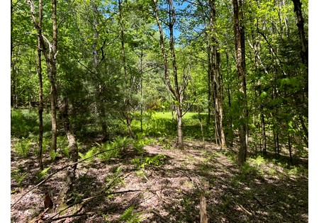 NY land for sale near Oneida Lake