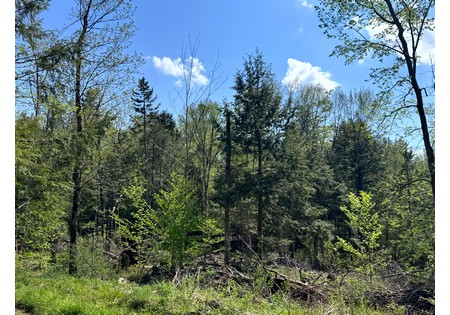 Land for sale in Tug Hill NY