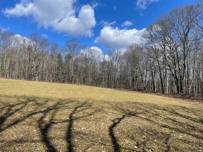 NY hunting land for sale in southern tier