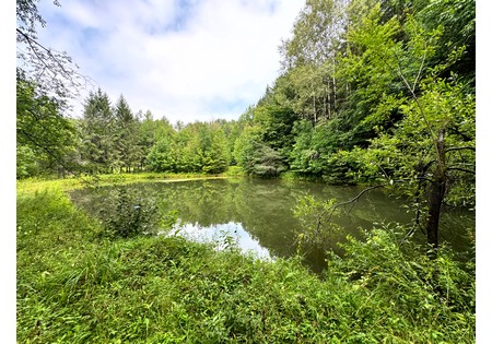 Finger Lakes NY land for sale