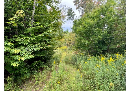 NY hunting land