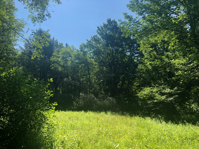 ny land for sale in williamstown ny