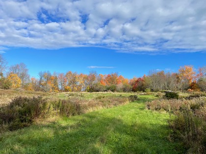 NY building lot for sale