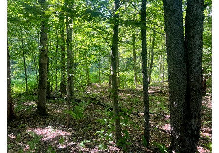 NY hunting land for sale