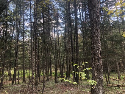 Building site near Adirondacks - NY Land for sale