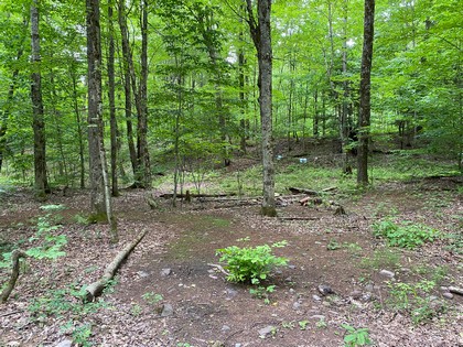 NY waterfront land for sale on Prince Brook