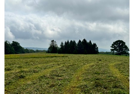 Finger Lakes NY area land for sale