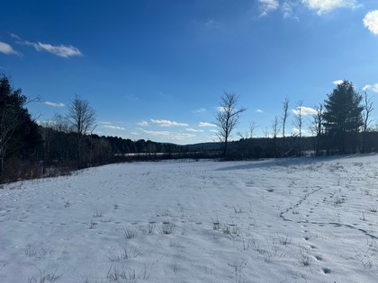 Catskill NY land for sale