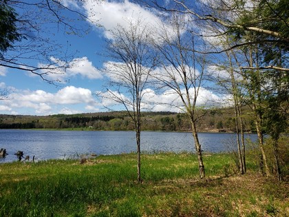 NY waterfront land for sale in Marathon NY