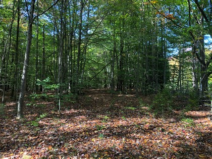 NY land for sale near Oneida Lake NY