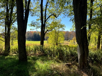 NY southern tier hunting land for sale