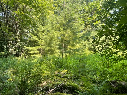 NY building lot land for sale