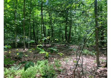 Land NY bordering state land for sale