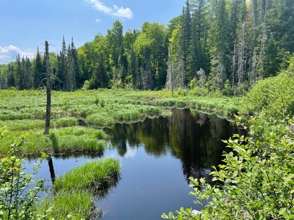 Adirondack land for sale NY