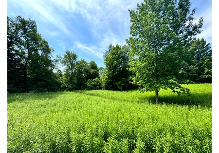 Salmon River NY land for sale