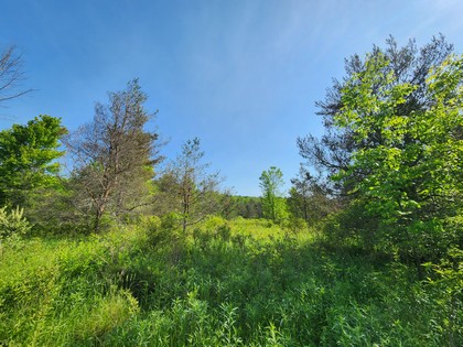 Finger lakes NY land for sale