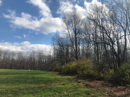 NY land for sale in Pharsalia NY