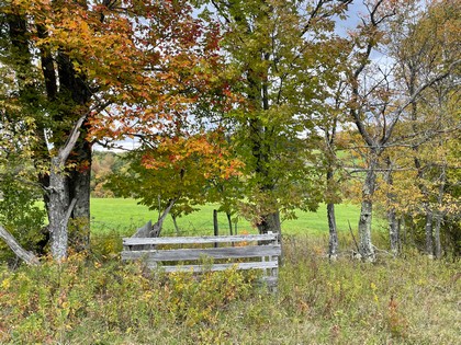 NY land for sale near Catskills