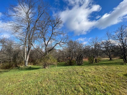 NY log cabin for sale