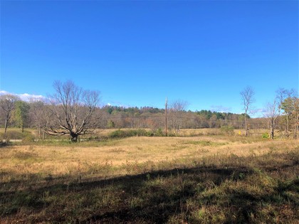 NY land for sale borders Mad River state forest