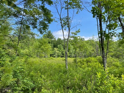 Building lot for home site or camp site in Vienna, NY