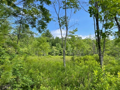 Building lot for home site or camp site in Vienna, NY