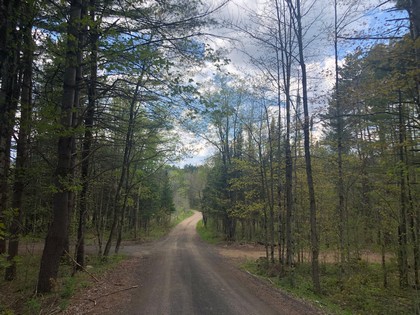 Building site near Adirondacks - NY Land for sale