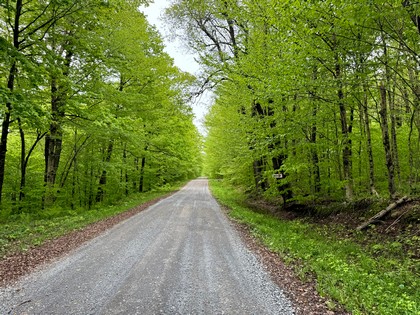 NY camps for sale