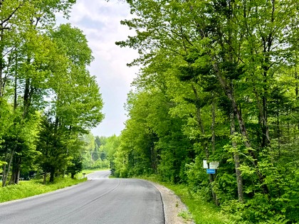 Adirondack land for sale