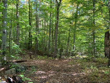 NY hunting camp for sale