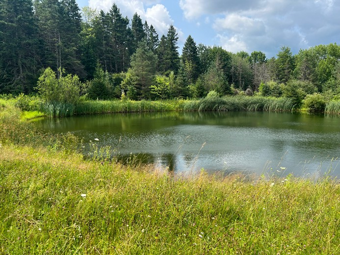 Southern Tier NY land for sale