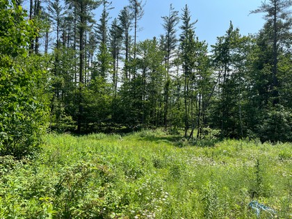 Adirondack NY land for sale