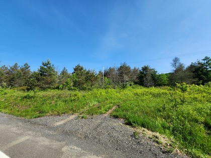 finger lake ny properties for sale