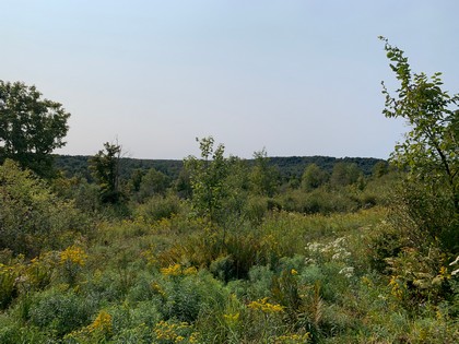 NY land with views Osceola NY