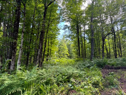 NY land and camp for sale
