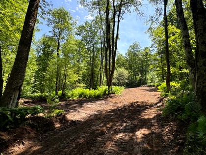 NY land and camp for sale