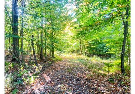 Tug Hill NY hunting land for sale