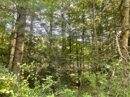 NY building lot land for sale