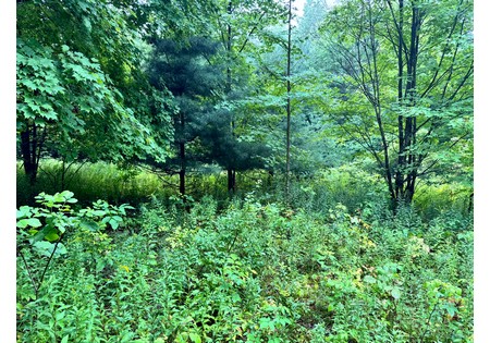 NY Finger Lakes land for sale