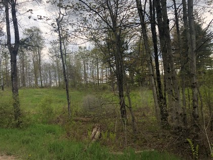 This wooded 90 acres in Diana NY would make a perfect hunting property with frontage on Brown’s Creek for excellent trout fishing.