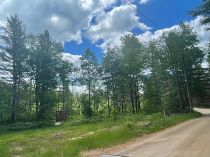 NY Adirondack hunting land for sale